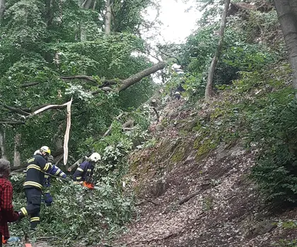 Odklízení následků vichřice na Bezdězu Odklízení následků vichřice na Bezdězu